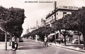 Ain-Temouchent - Boulevard National 50